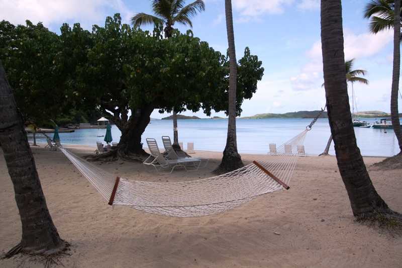 Steps away from this hammock