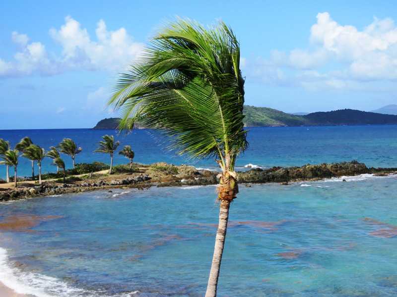 Virgin Islands Condo for Sale